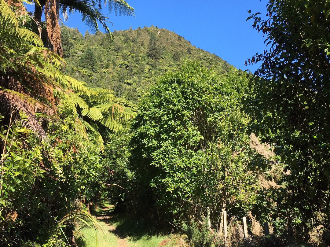 Karangahake Mountain Track Loop-Waikino必去景点
