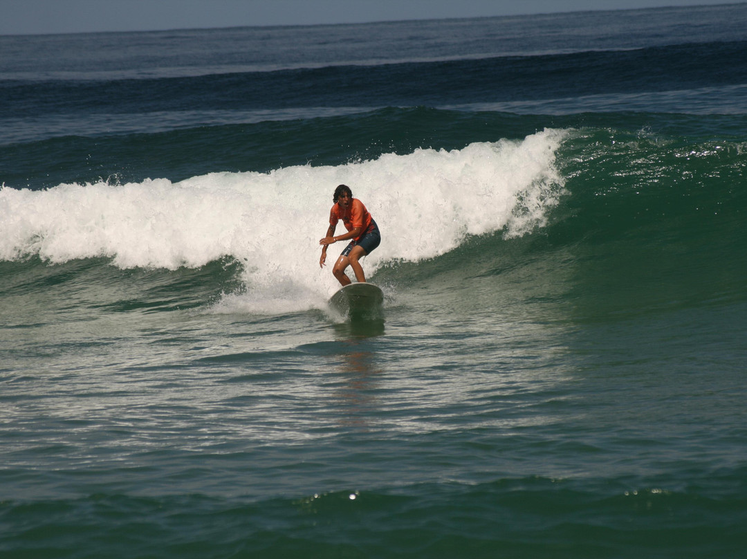 One Palm école de surf/surfshop景点图片