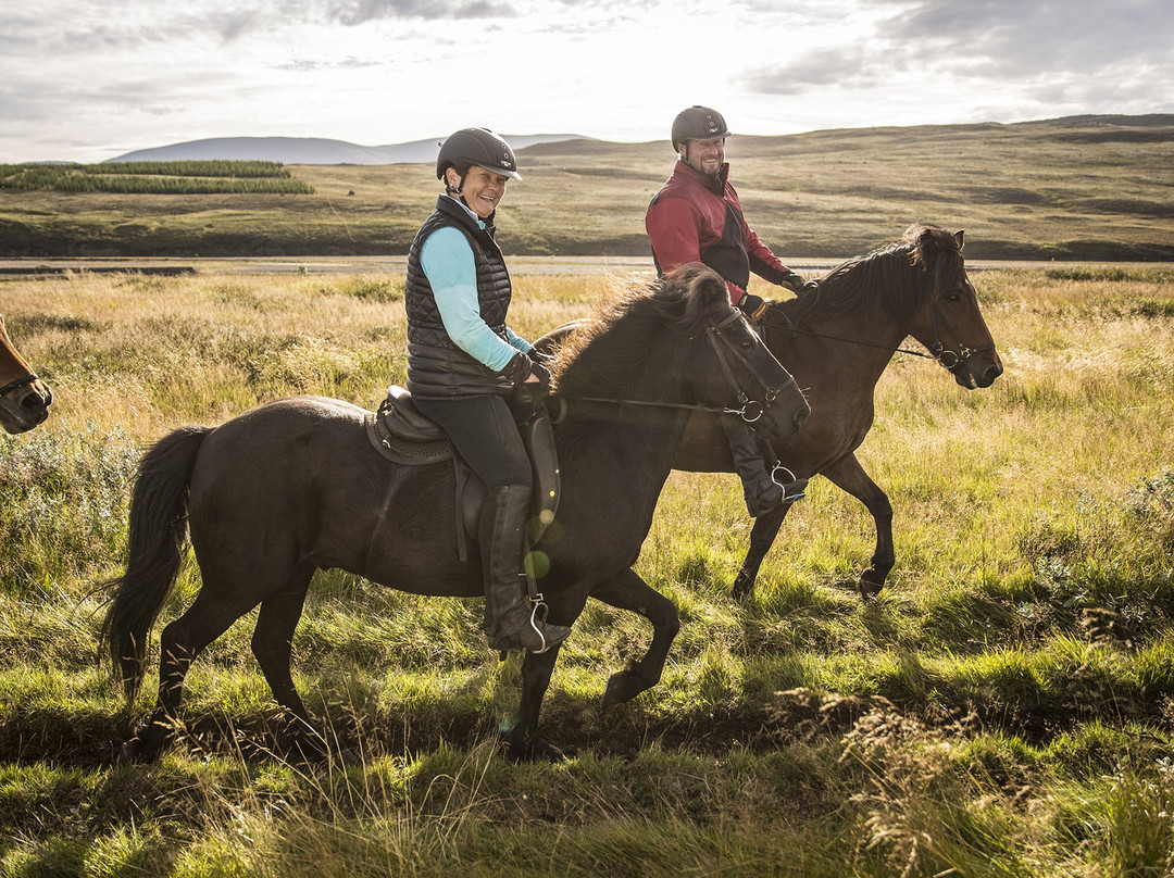 Hestasport - Riding Tours-Varmahlid必去景点