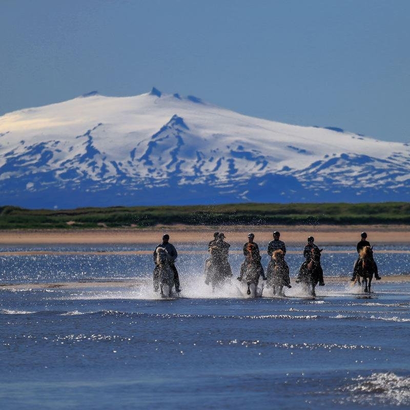 Lysuholl Short Rides-Snaefellsbaer必去景点