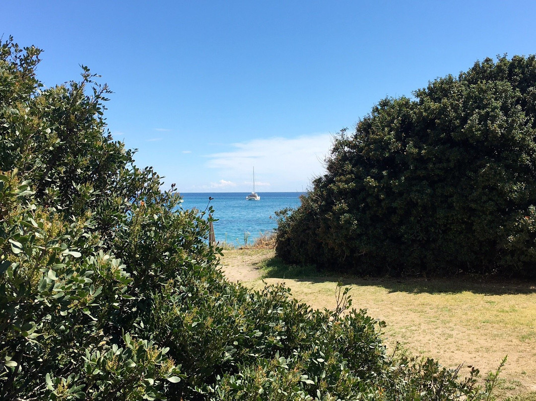 Spiaggia dei Fichi-普拉必去景点