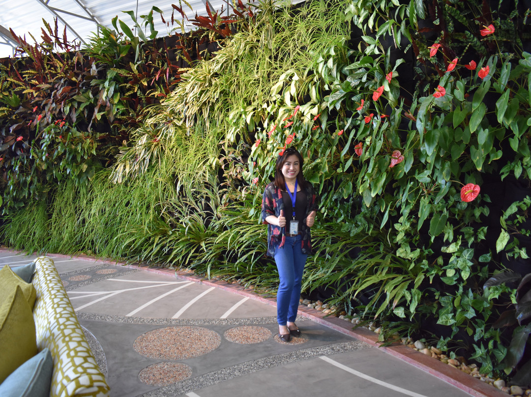 Bayan Botanical Garden-Kuwait City必去景点