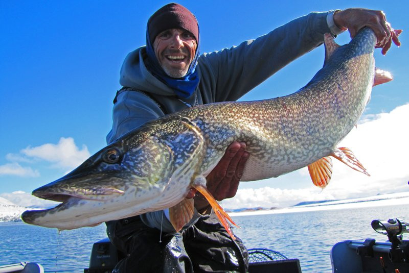 FishHead Outdoors-普韦布洛必去景点