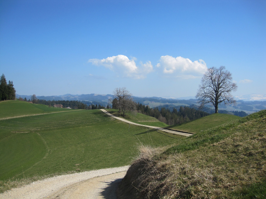 Emmentaler Käseroute-Burgdorf必去景点