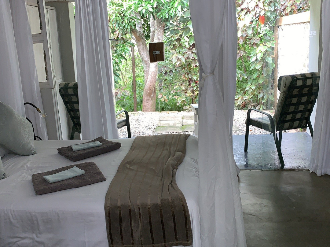 Barefoot B & B主图