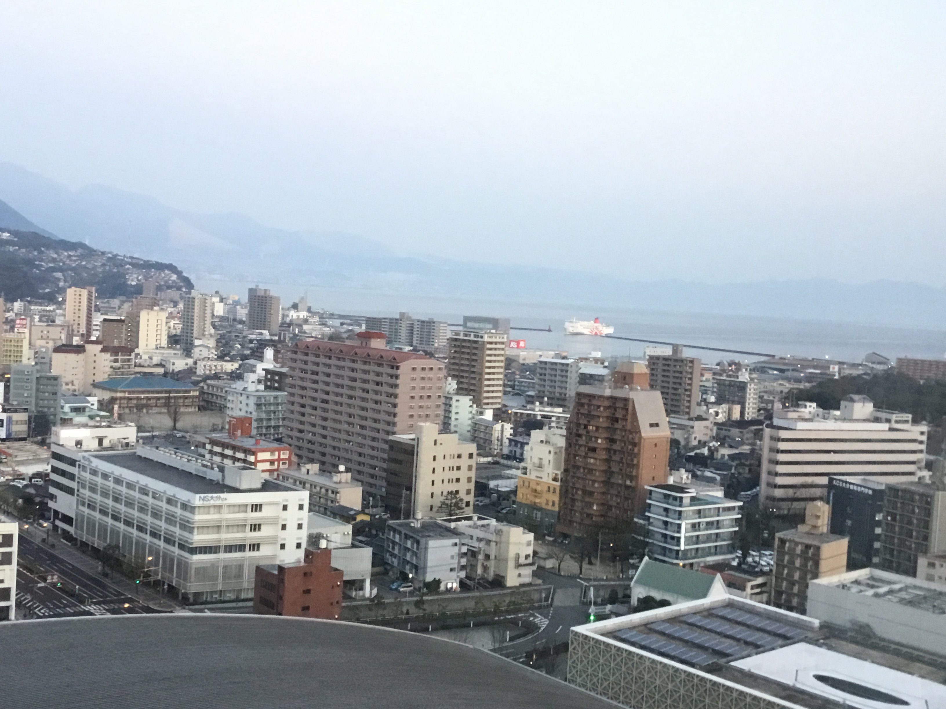 大分绿洲塔酒店-酒店景观