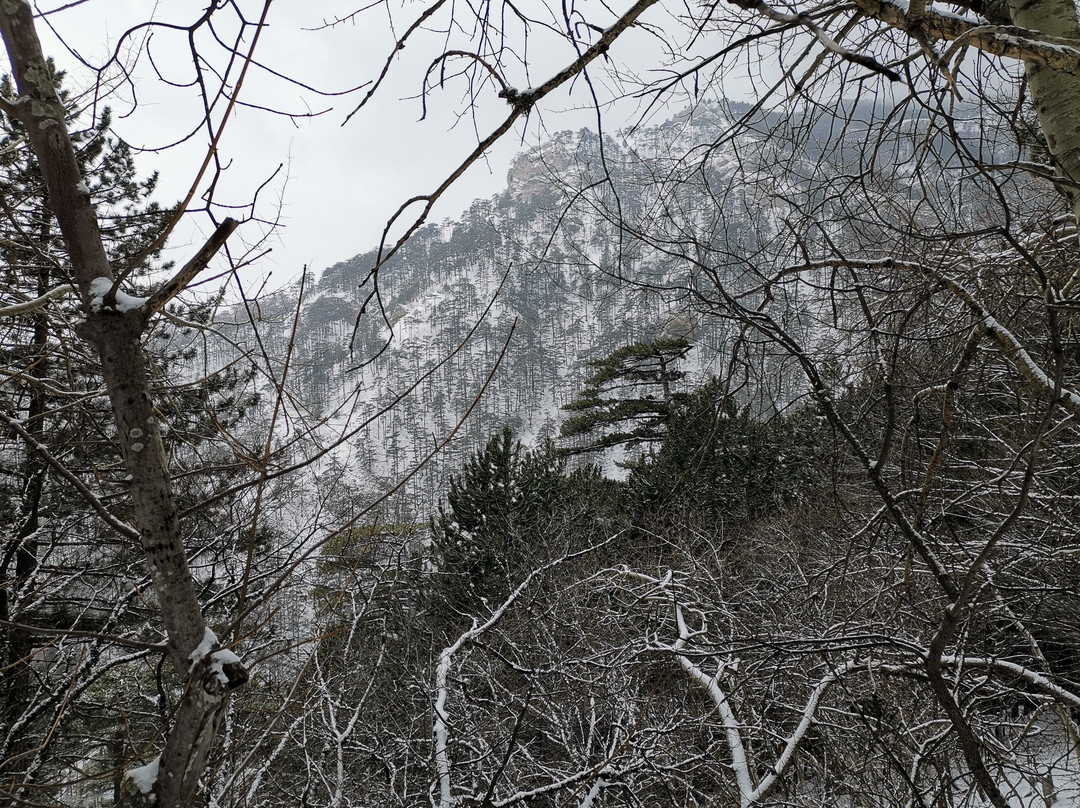 Uch-Kosh Gorge-雅尔达必去景点