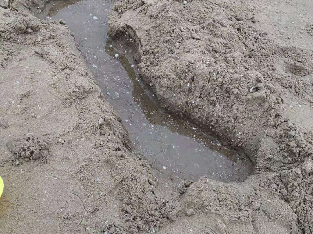 龙海天-湛江市必去景点