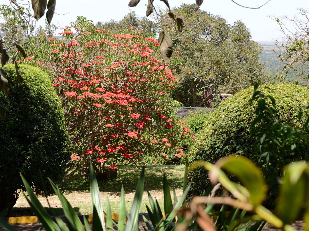 奥斯潘旅馆主图