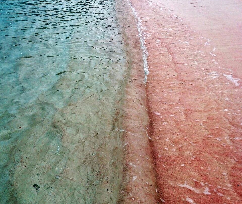 This Is Komodo Tour-Labuan Bajo必去景点