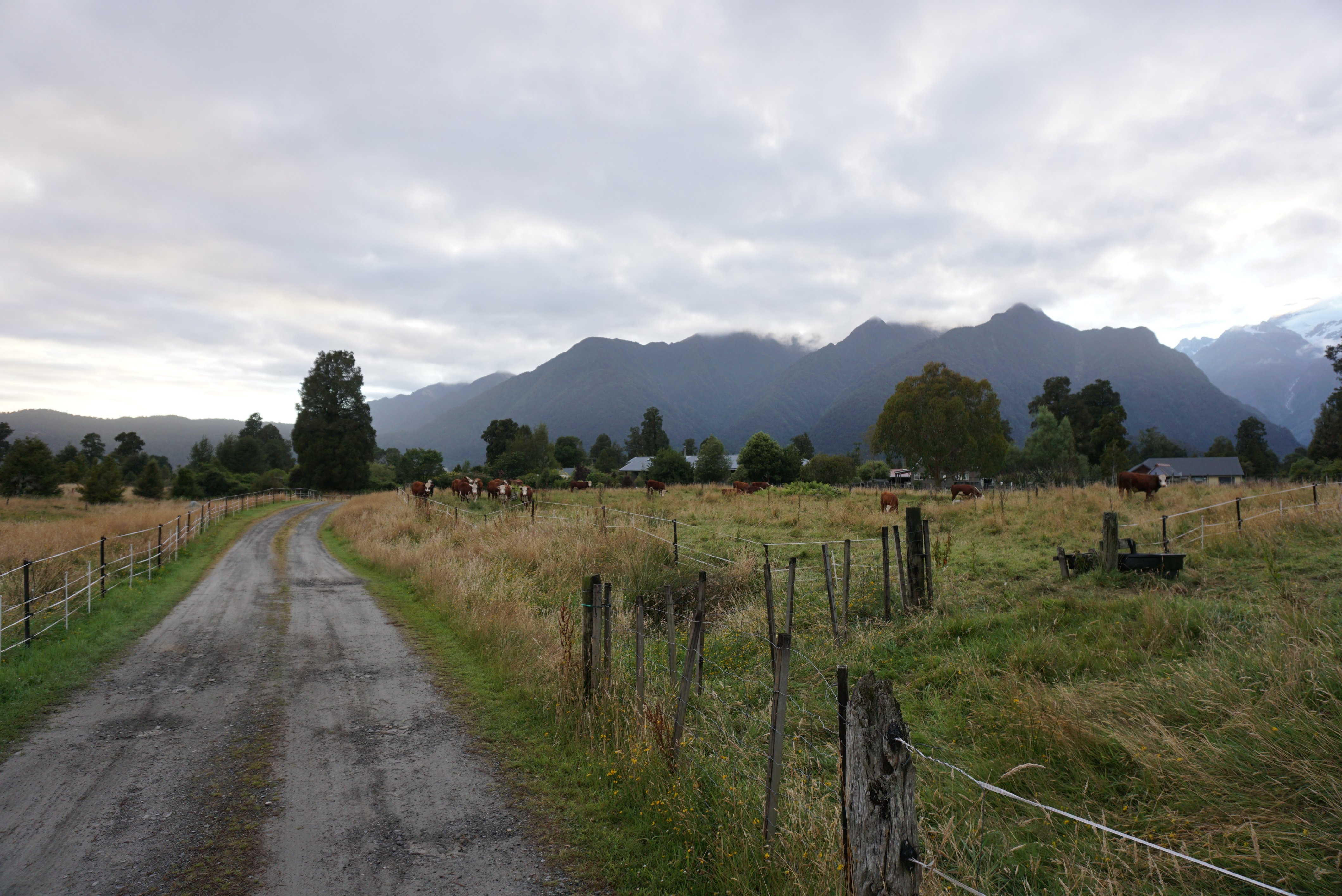 福克斯冰川山景住宿加早餐旅馆-浴室