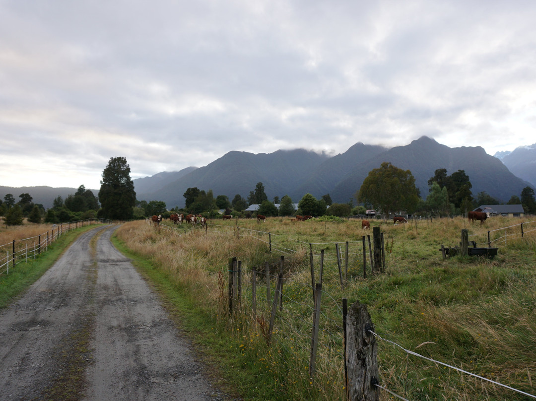 福克斯冰川山景住宿加早餐旅馆主图