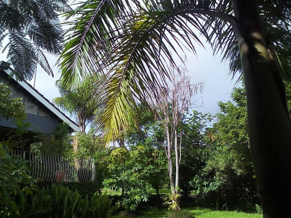 Bindura旅游攻略图片