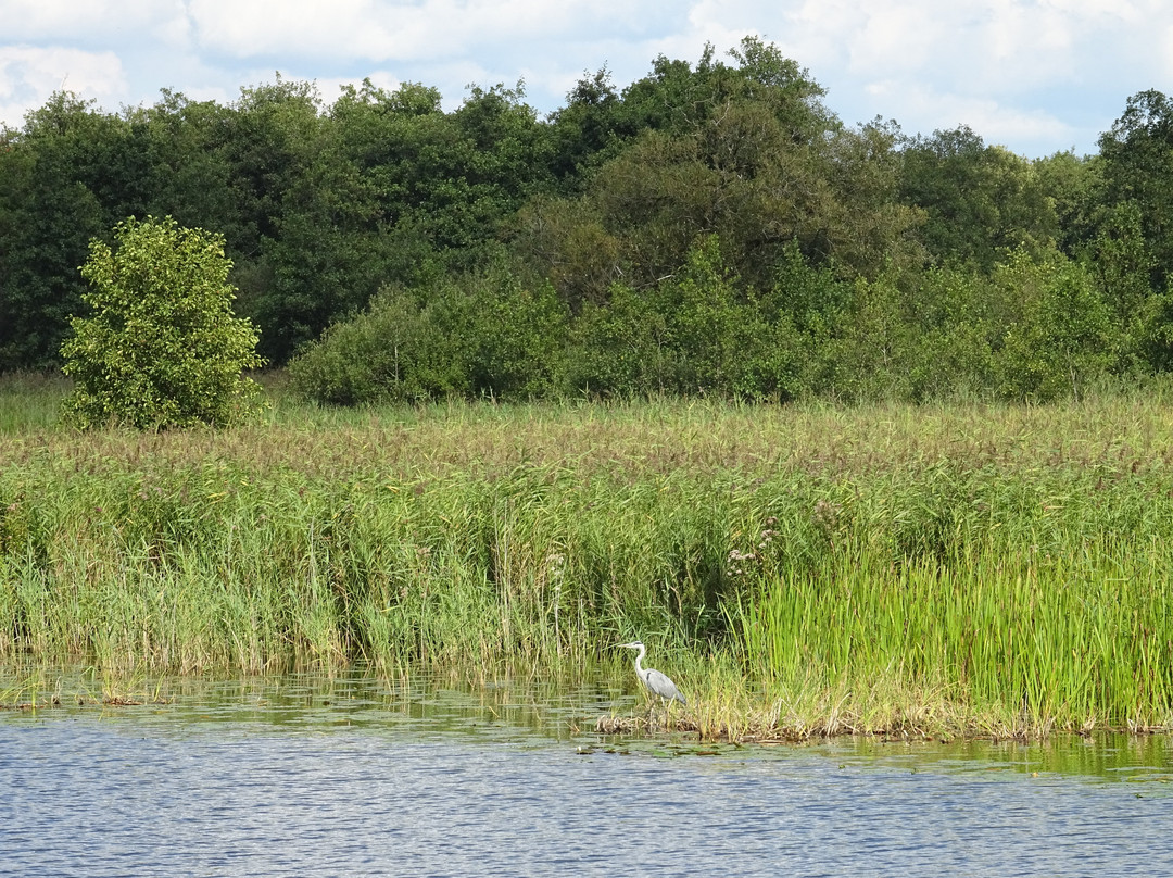 Park Lingezegen-Elst必去景点