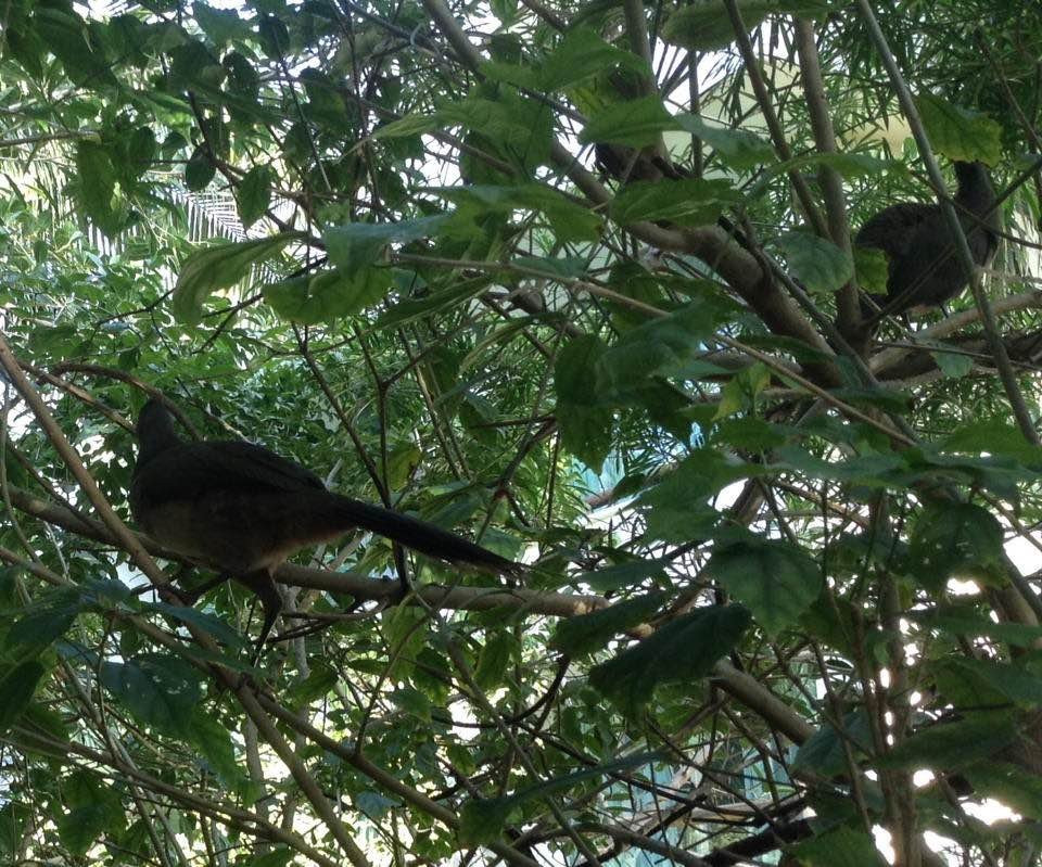 玛雅宫殿温德姆玛雅海滨度假村主图