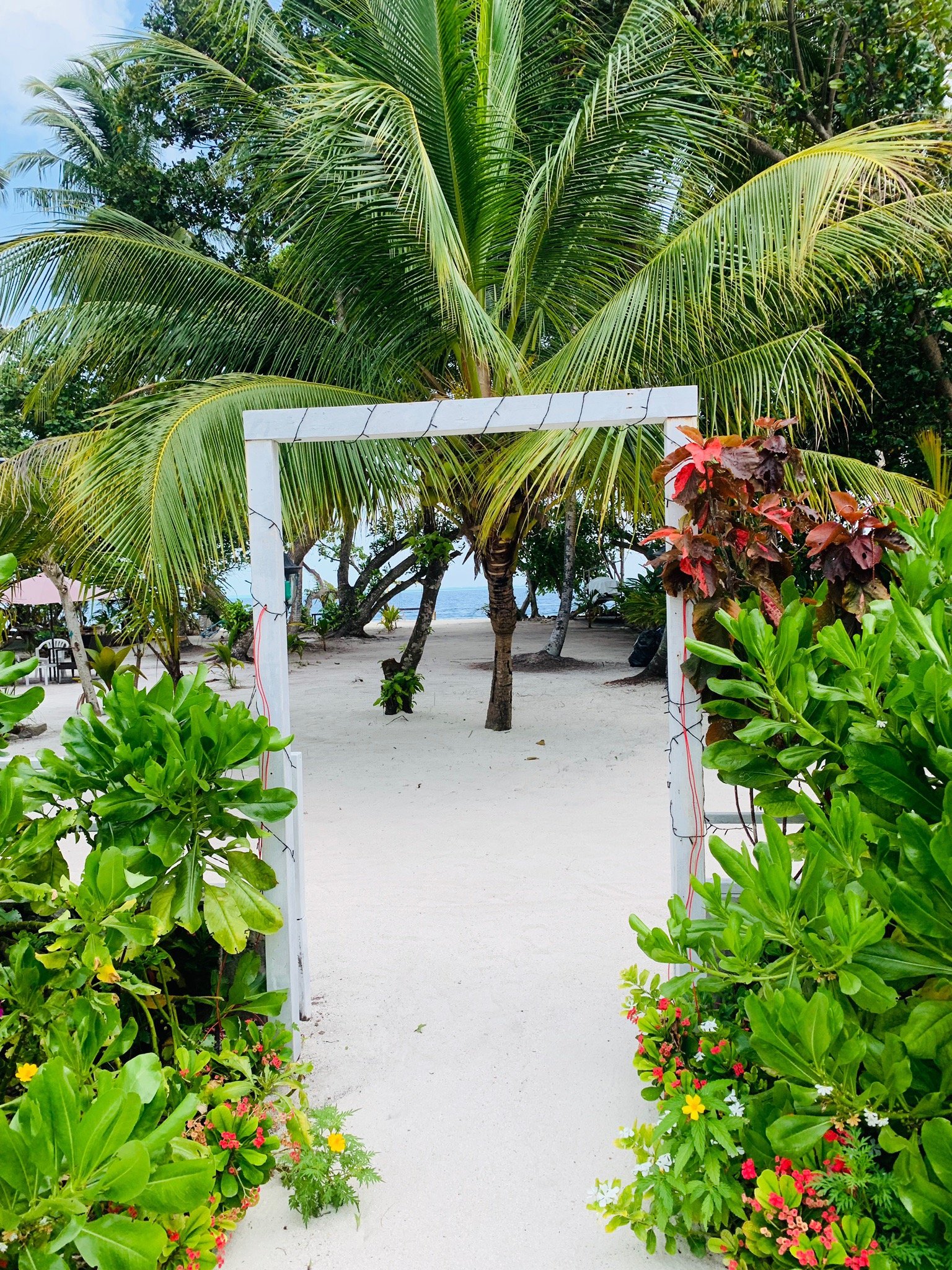 Local Travel Beach-官方
