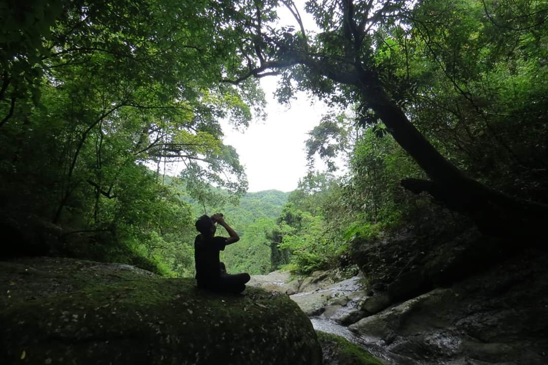 Menjangan Snorkeling & Ijen - Activities景点图片