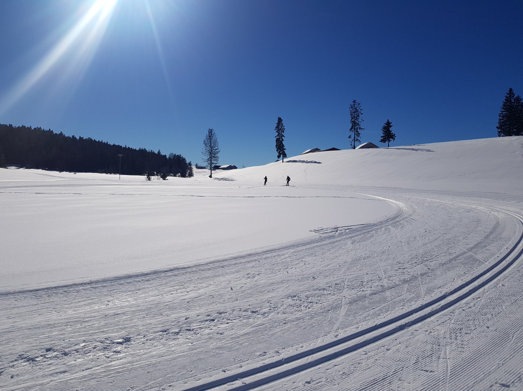 Nordic Sport Park景点图片