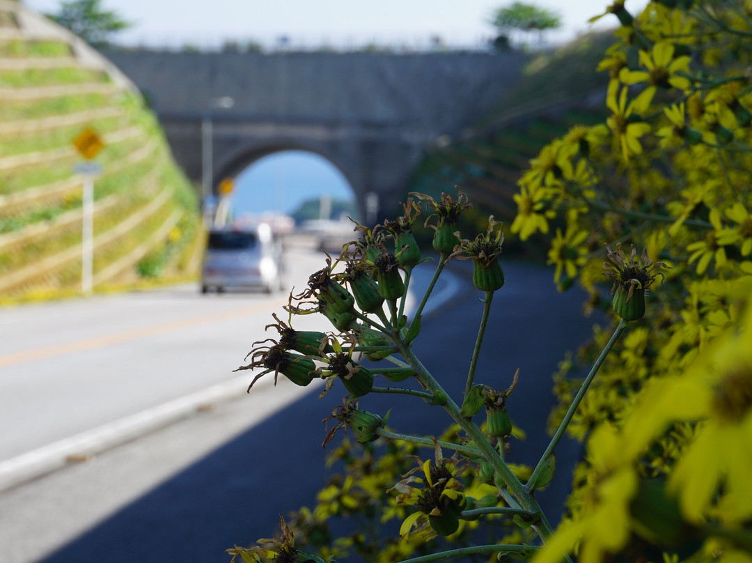Nirai Bridge/Kanai Bridge景点图片