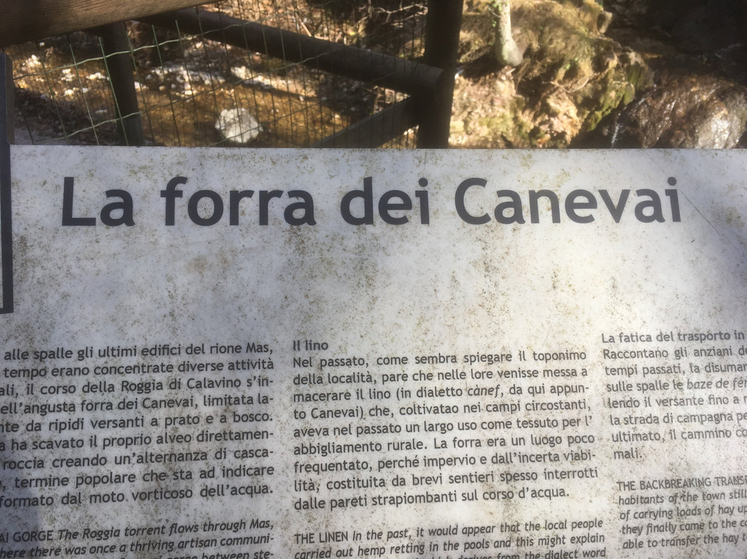 Roggia DI Calavino景点图片