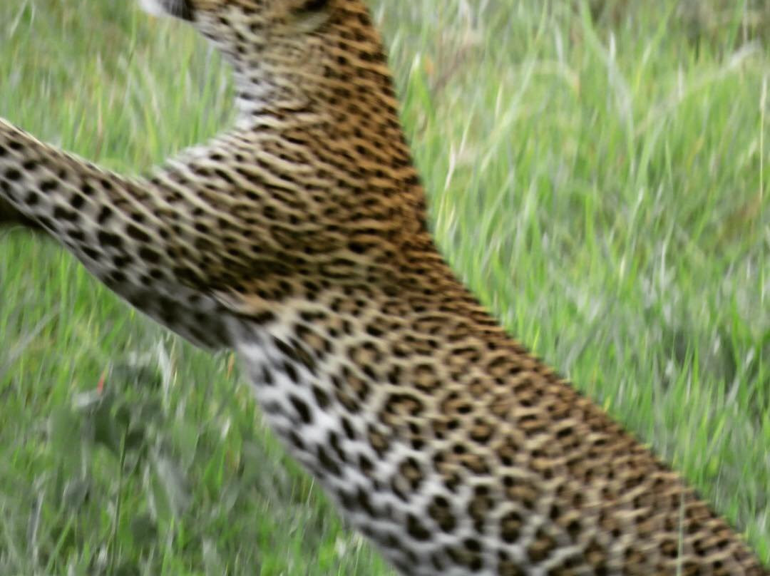 Watu Safaris (t) Ltd-莫洛哥罗必去景点