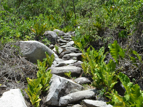 null-Tayrona National Park