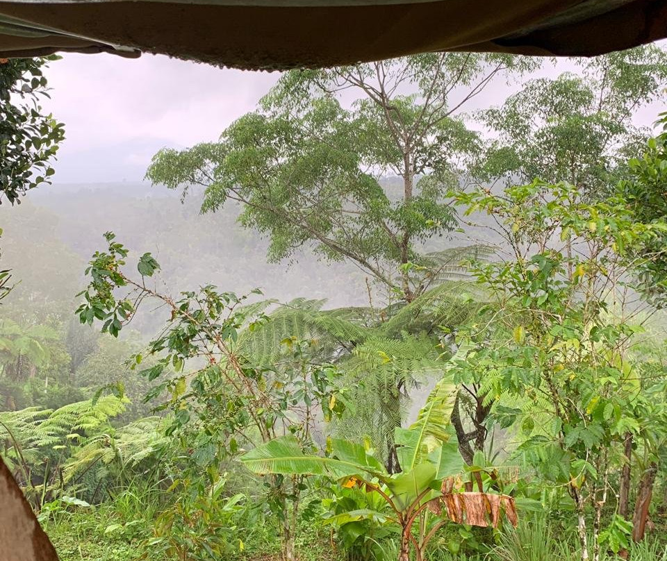 Seed Of Life Moodra主图