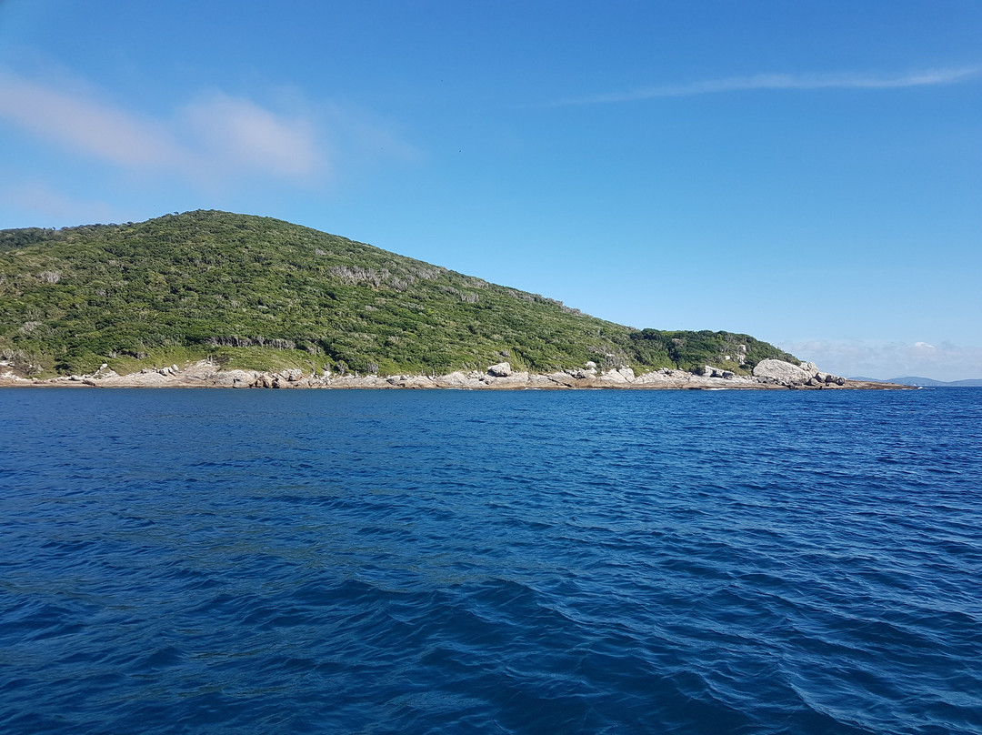 By Fish Mergulho-Dive Center-阿拉伊阿尔港必去景点