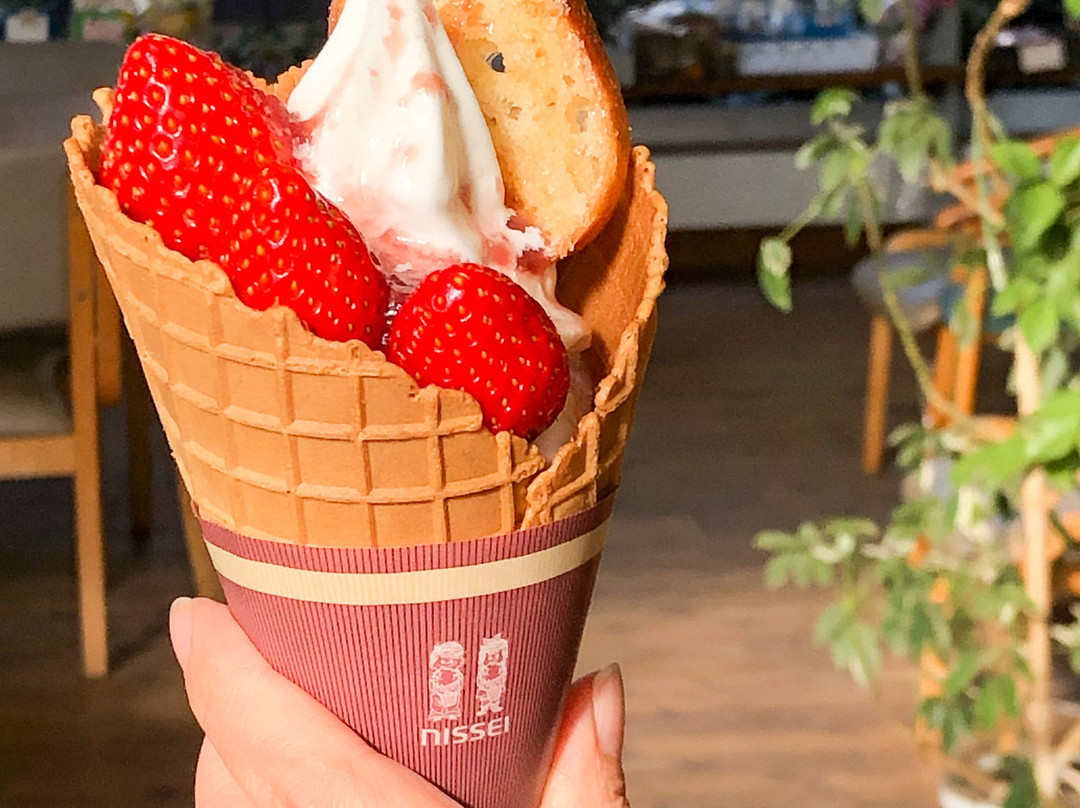 Hananoumi-山阳小野田市必去景点