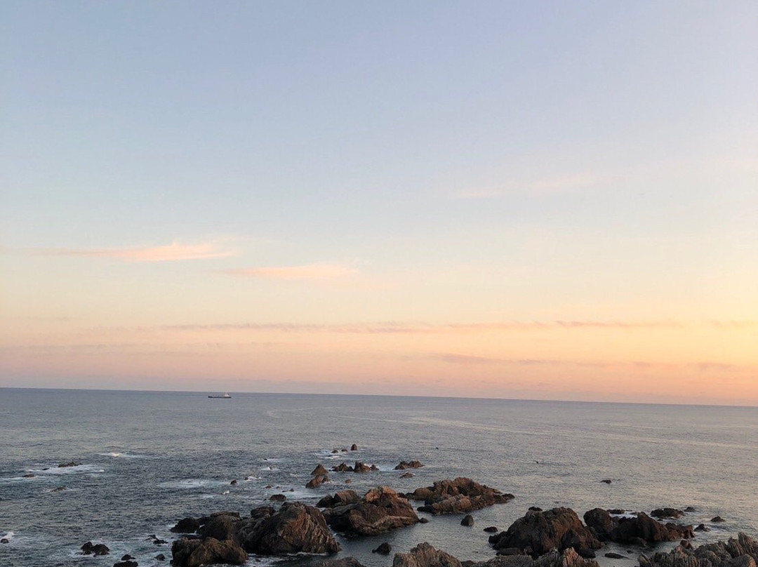 The Statue of Shintaro Nakaoka-室户市必去景点