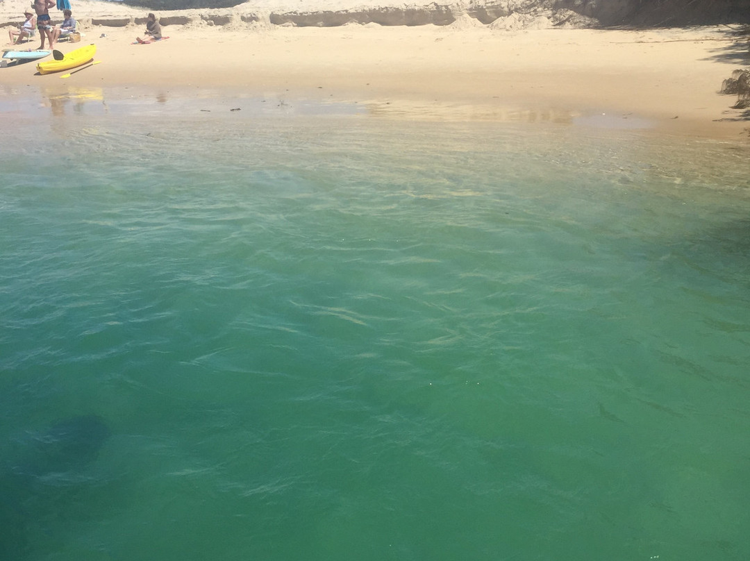 Moffat Beach Motel主图