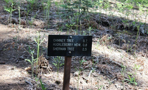 Huckleberry Trail景点图片