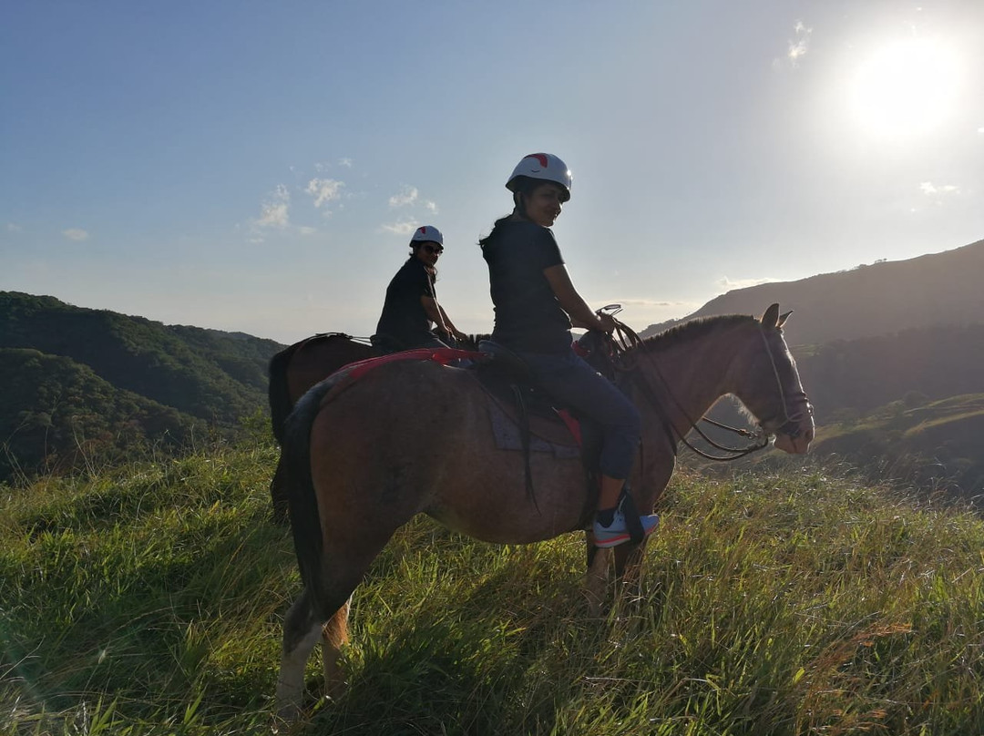 Finca EL Zapote Horseback Riding景点图片