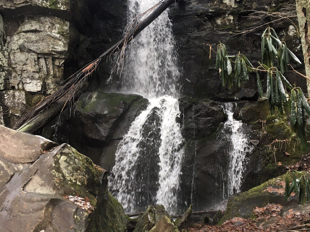 Baskins Creek Falls景点图片