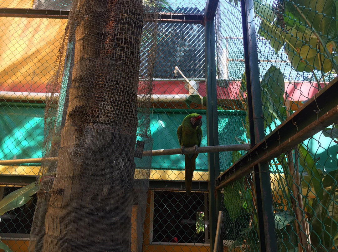 Aticama Bed & Breakfast主图