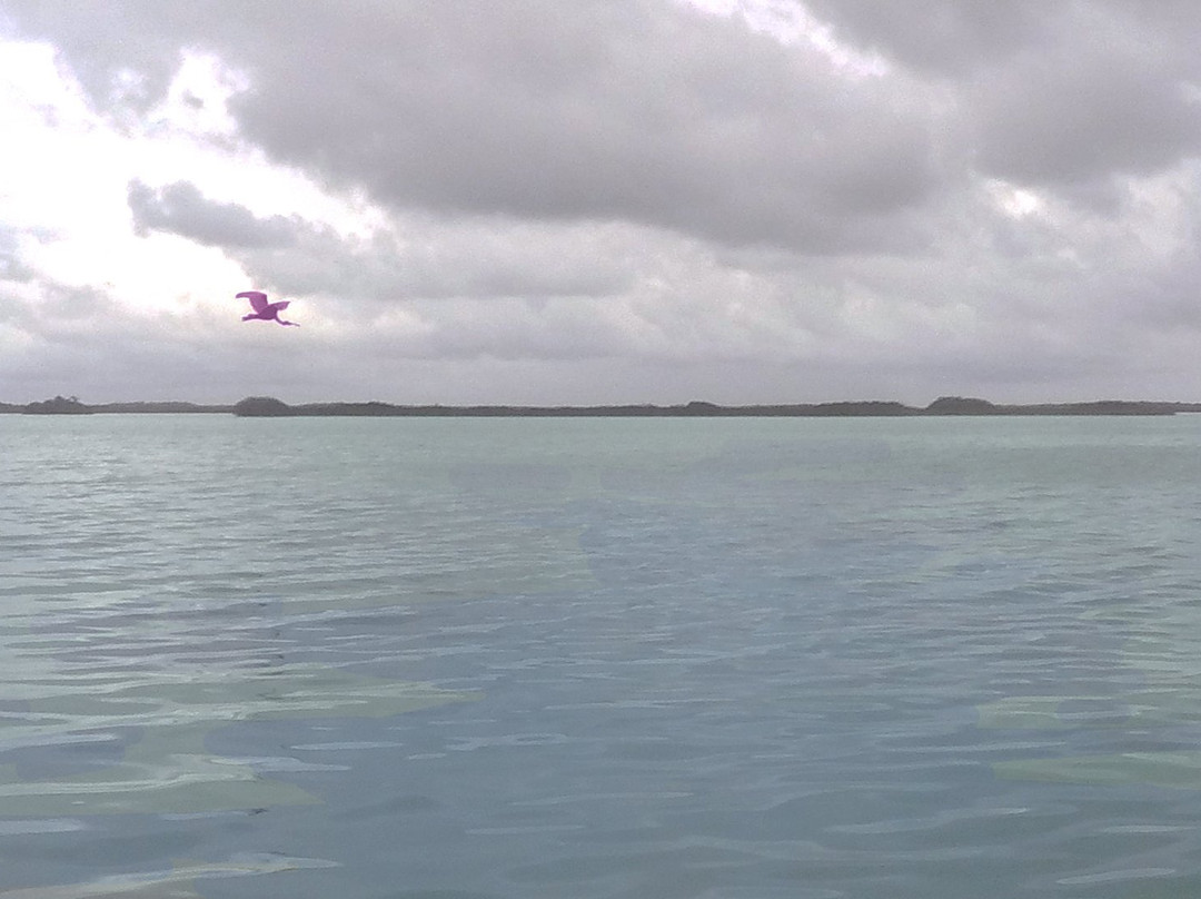 Sukun Rivera Maya Tours-图伦必去景点