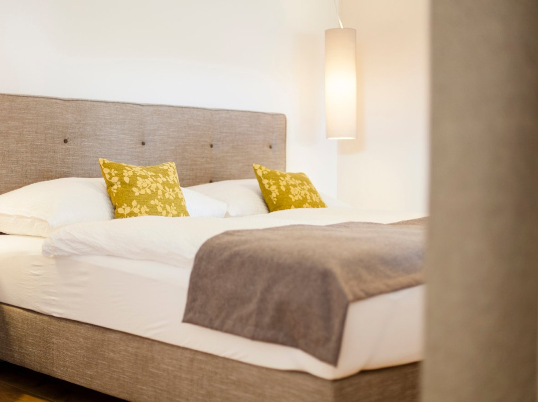 Appartements Weinberg Lodge主图