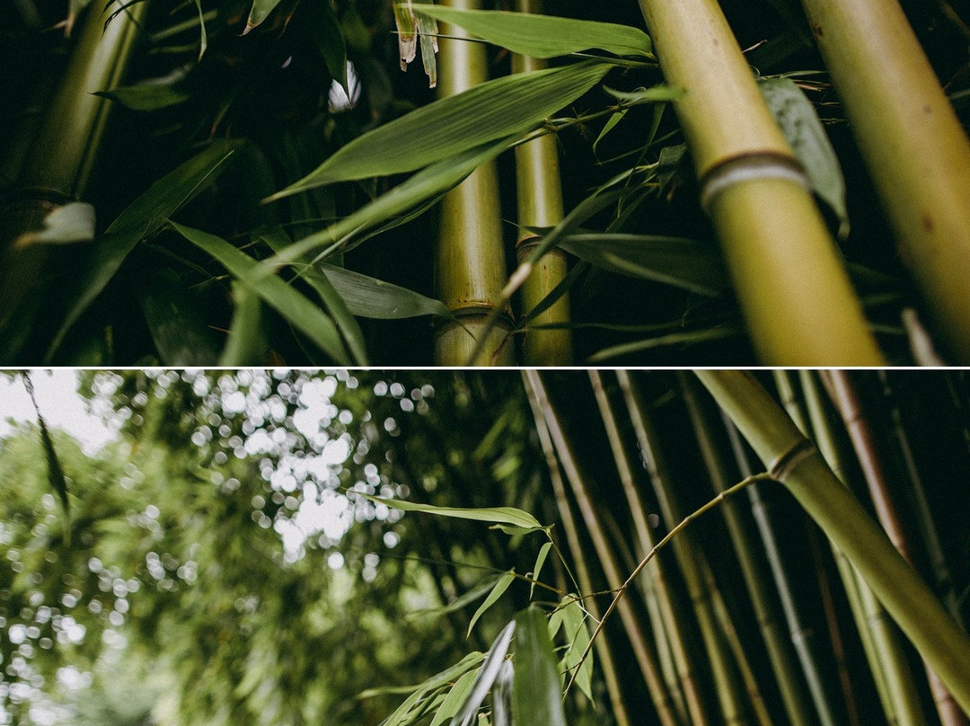 皮里戈城堡酒店主图