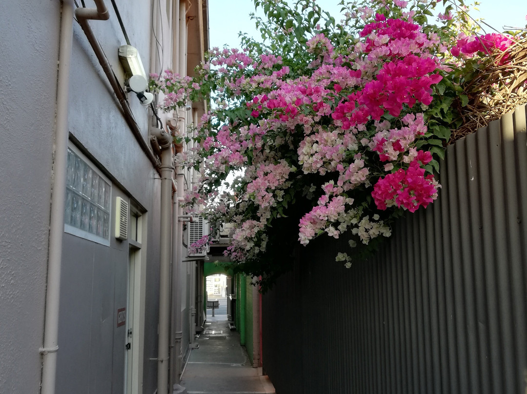 Burkes Hotel Motel主图