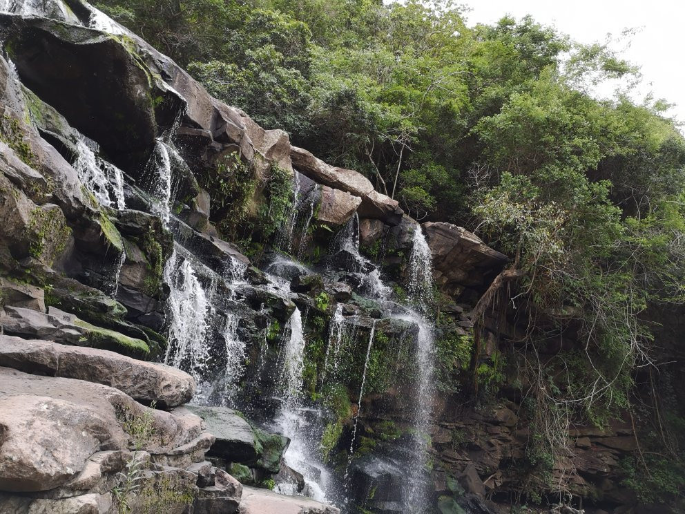 Paradise Valley Nature Reserve景点图片