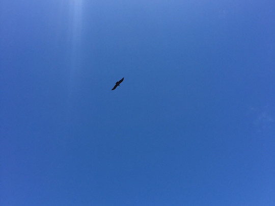 Observatorio Astronómico Bosque Alegre-Falda del Carmen必去景点