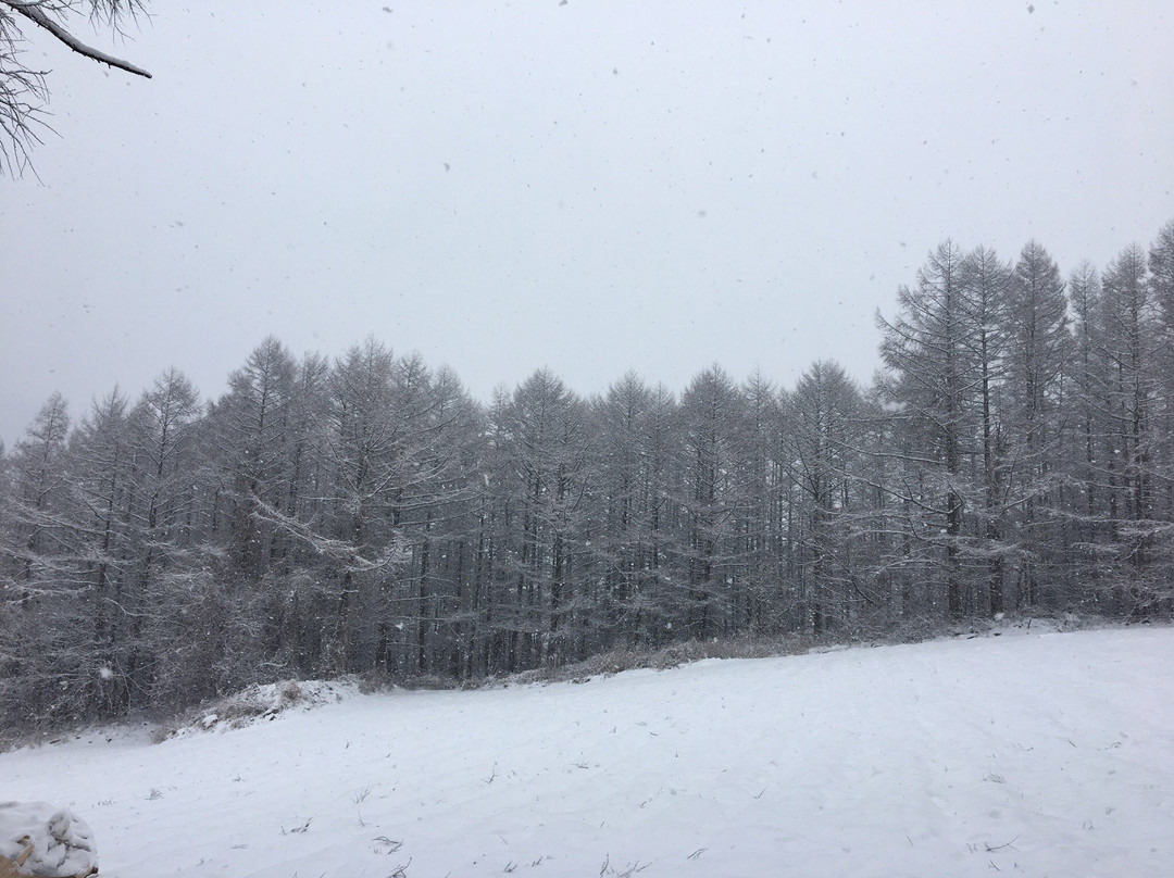Taebaeksan National Park-太白市必去景点