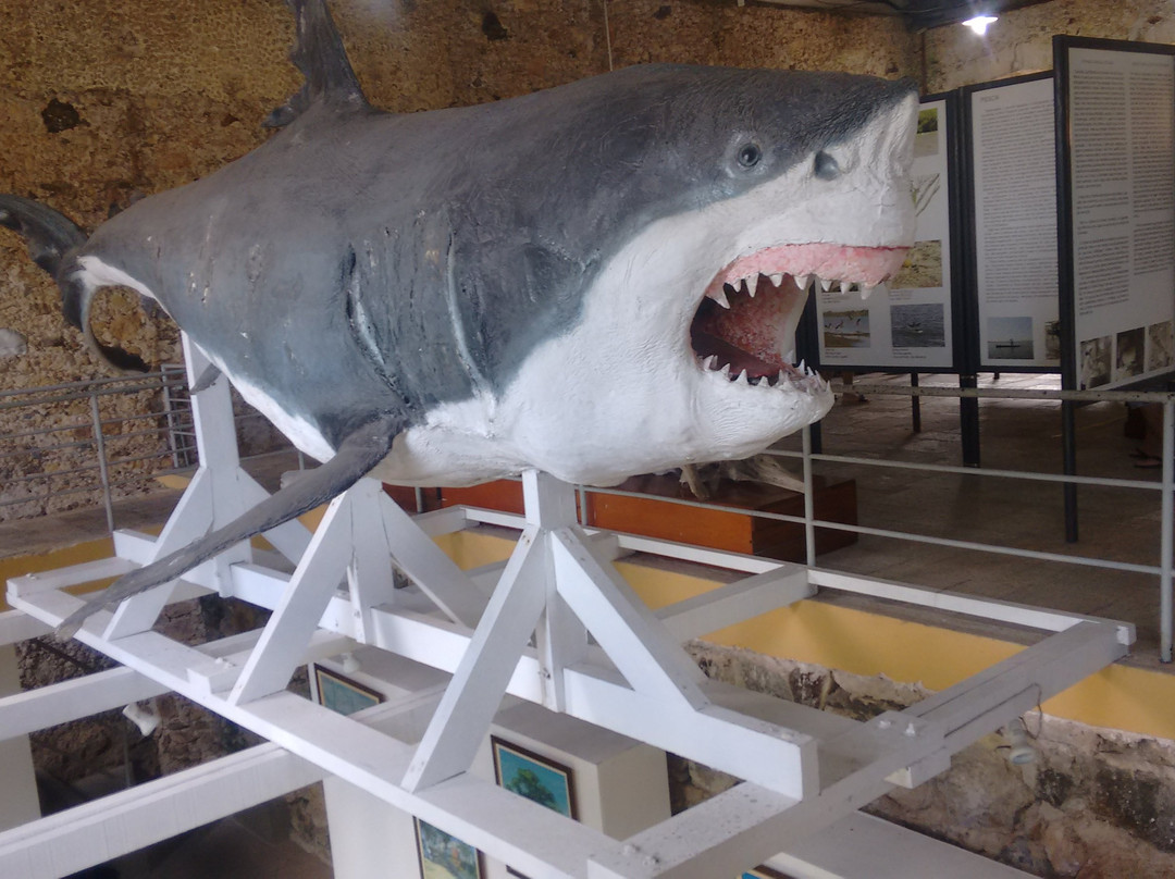 Museu Municipal de Cananeia