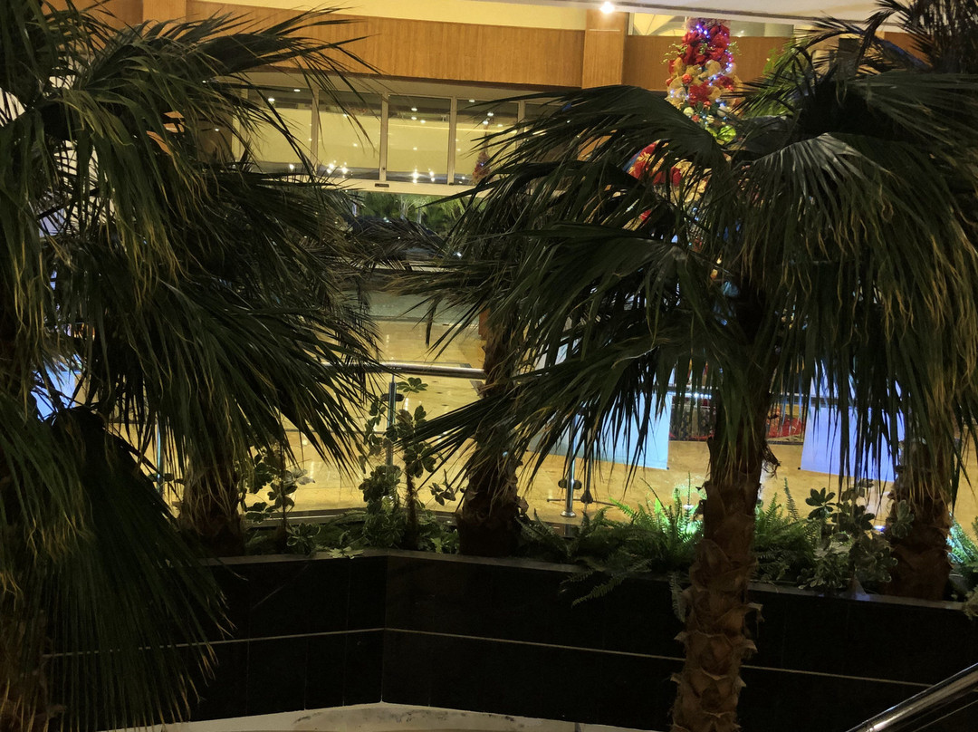 Eurobuilding Hotel & Suites Guayana主图