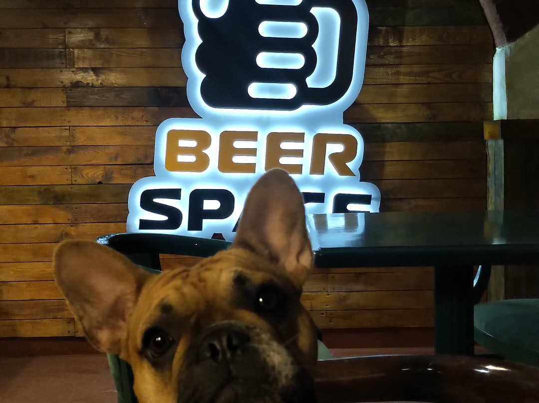 Beer Space