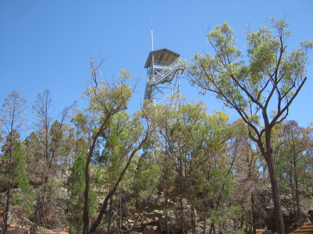 Pilliga National Park-Coonabarabran必去景点