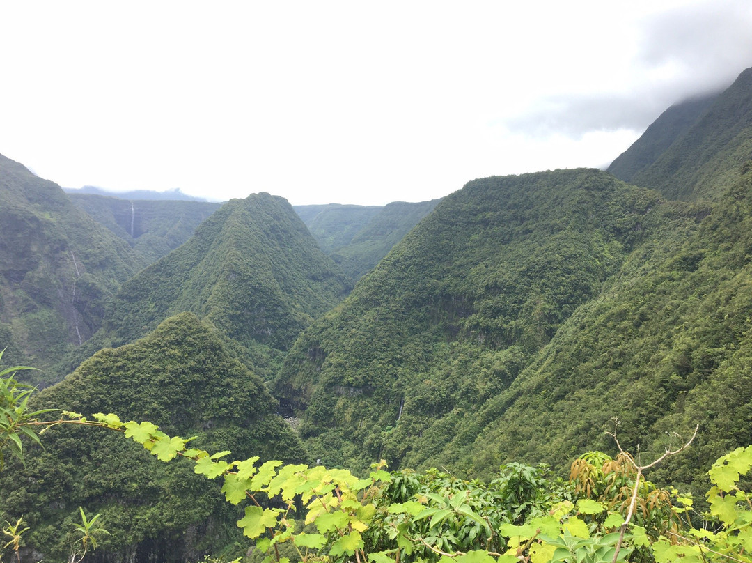 Les Cascades de Takamaka景点图片