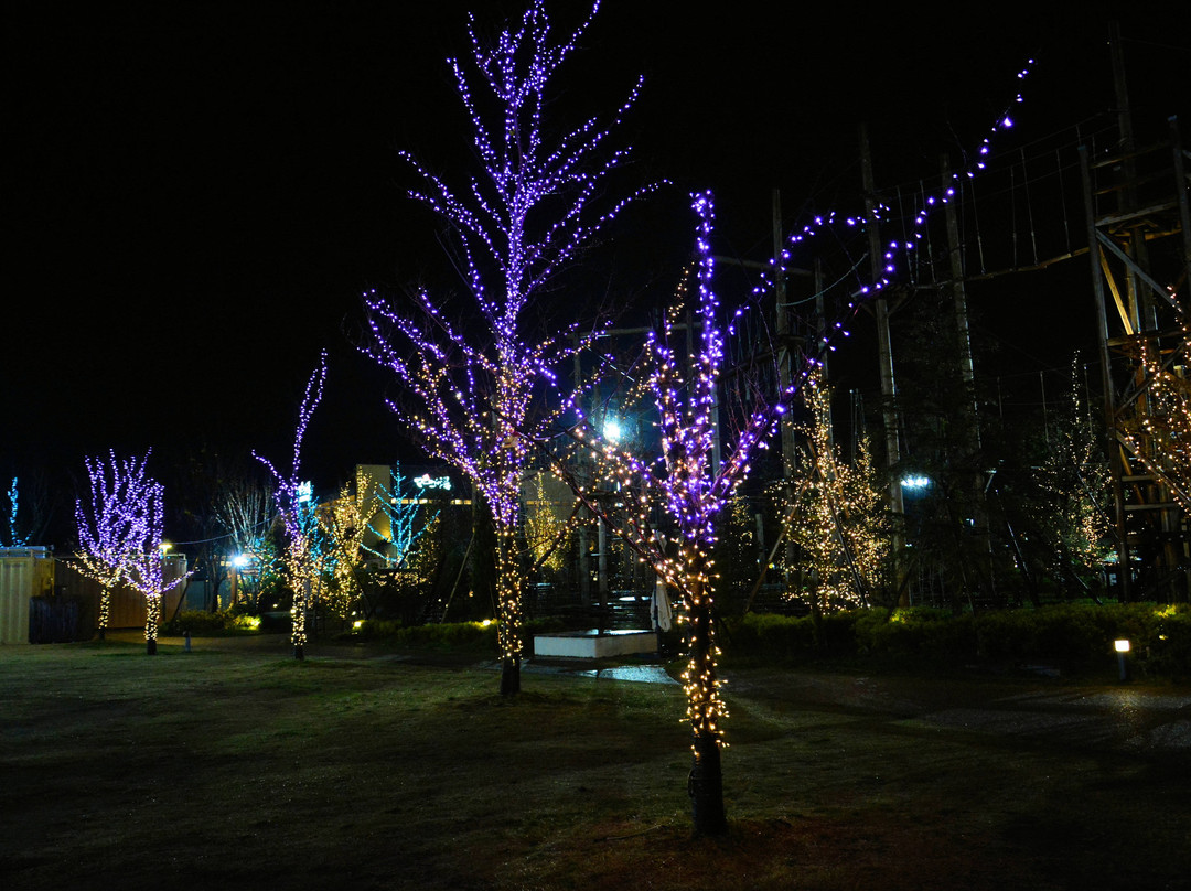Wonder Forest Curio-常滑市必去景点