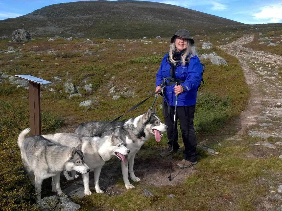 Safaris - The Lapland Connection-Kilpisjarvi必去景点