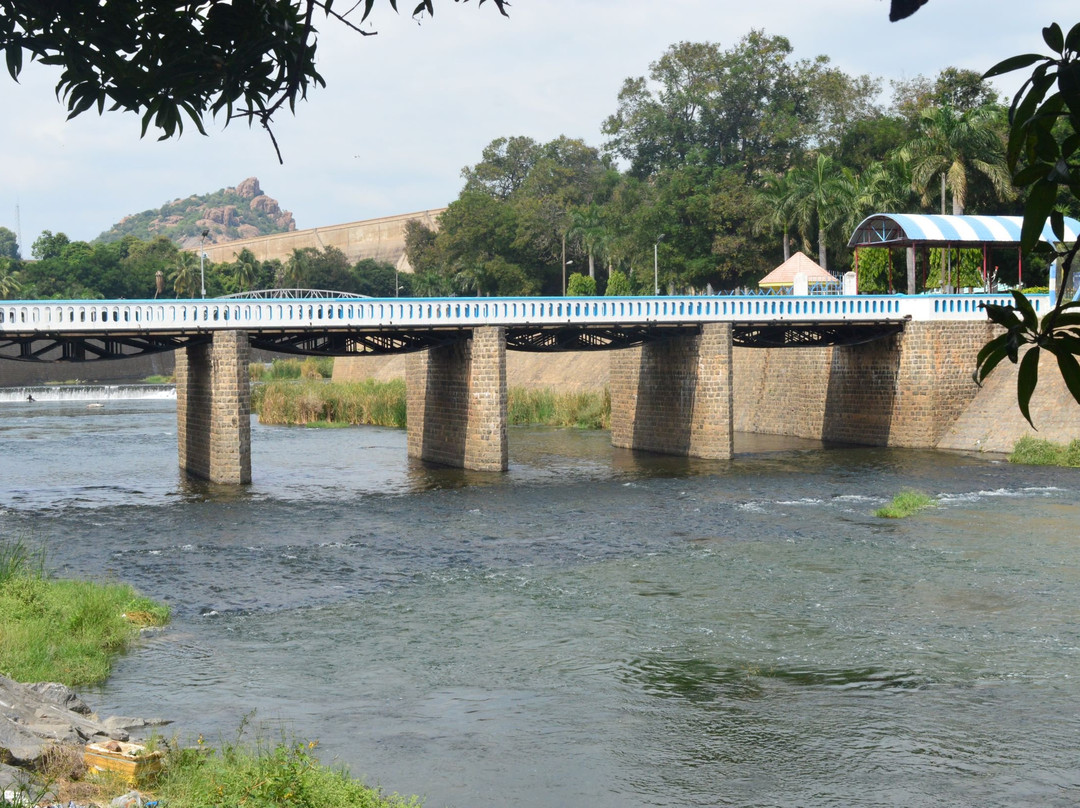 Mettur Dam景点图片